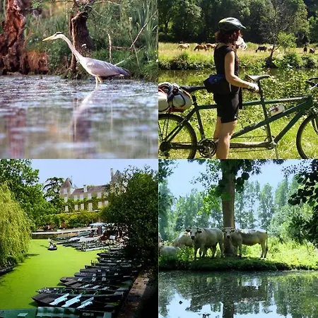 Daire Sea Sun Cocoon La Rochelle (Charente-Maritime)